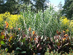 200 Longwood Gardens [2008 August 23]